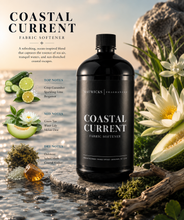 Load image into Gallery viewer, Luxury Scented Fabric Softener
