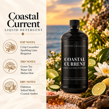 Load image into Gallery viewer, Luxury Liquid Detergent
